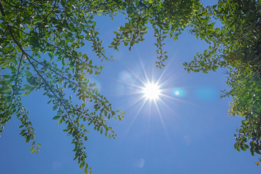 リファイン整骨院・整体院の夏バテブログのイメージ画像